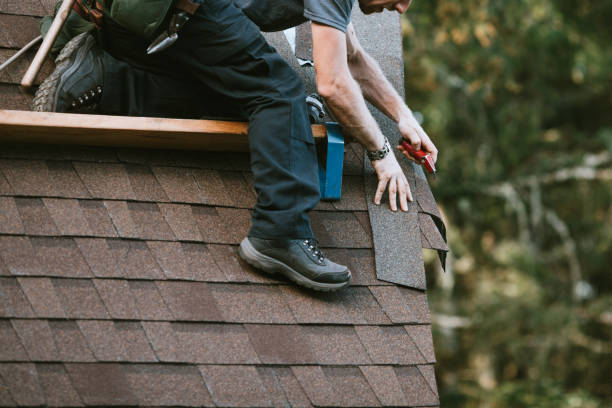 Best Gutter Installation and Roofing  in Millen, GA